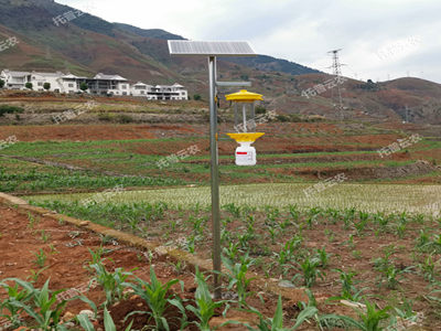 太陽(yáng)能LED殺蟲燈介紹